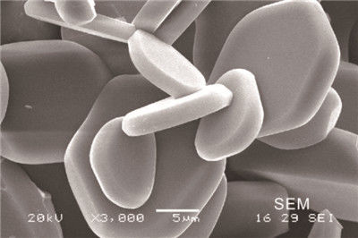 0,8 g / cm3 Biała ceramika z tlenku glinu Płyta ceramiczna do szlifowania wafli z tlenku glinu